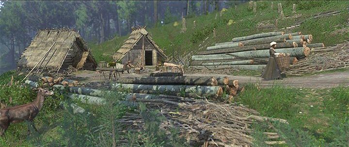 Что построить в Прибыславице в первую очередь